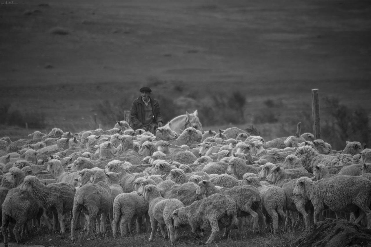 Estancia Dos Elianas Torres del Paine National Park Екстер'єр фото